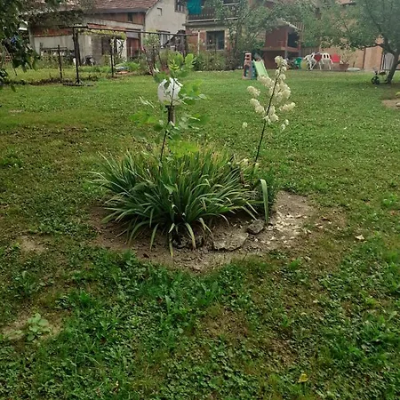 Apartman Dalal - With Access To River