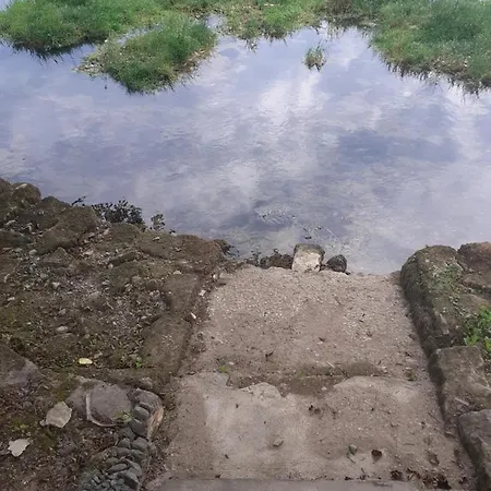 Dalal - With Access To River