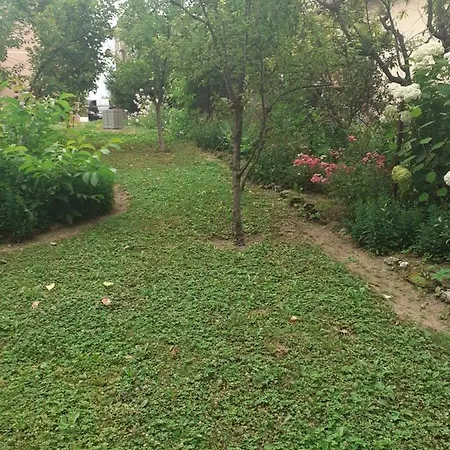 Apartman Dalal - With Access To River *